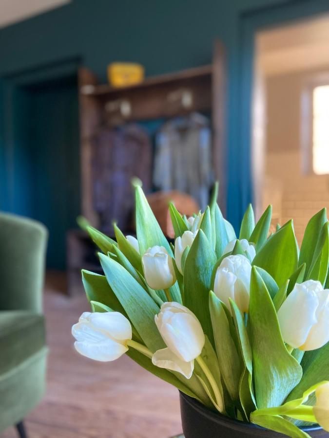 La Tour Yveline Bed & Breakfast Romans-sur-Isere Bagian luar foto